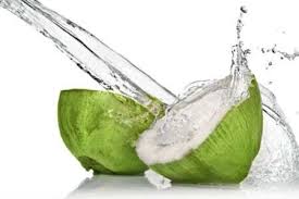 Manufacturers Exporters and Wholesale Suppliers of Tender Coconut Mumbai Maharashtra